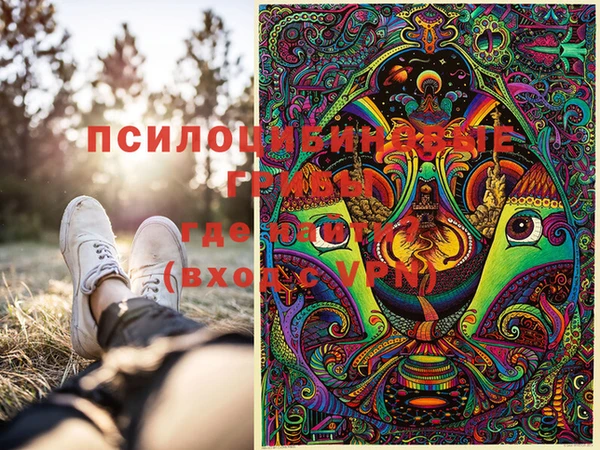 бутират Горно-Алтайск