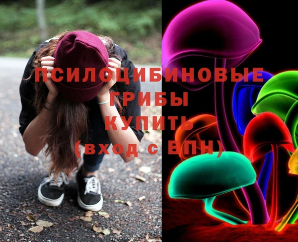 бутират Горно-Алтайск
