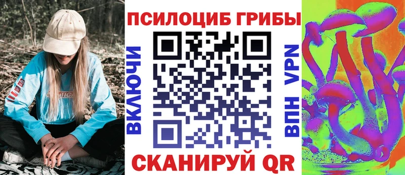Галлюциногенные грибы Magic Shrooms  сколько стоит  Севск 